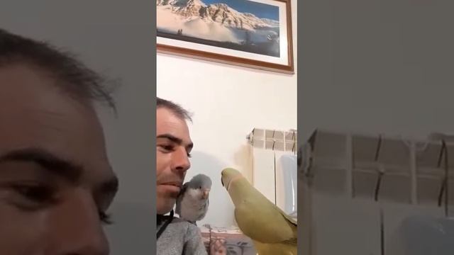 Sasha il gelosone!!!😂 смотреть онлайн