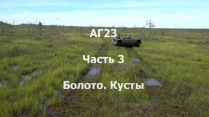 АГ23. Часть 3. Болото. Кусты