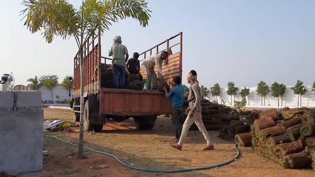 #lawn mats unloading #bestgrass #zoysia #grass смотреть онлайн