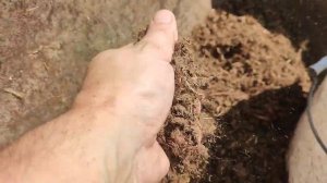 Не могу молчать, качество Витебского питательного торфа.