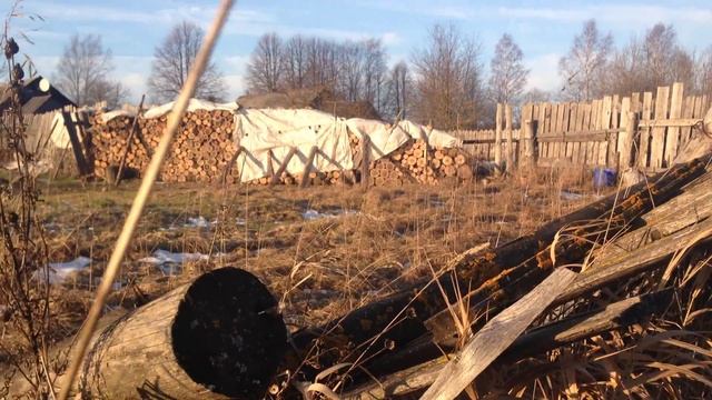 IMG 0731 смотреть онлайн