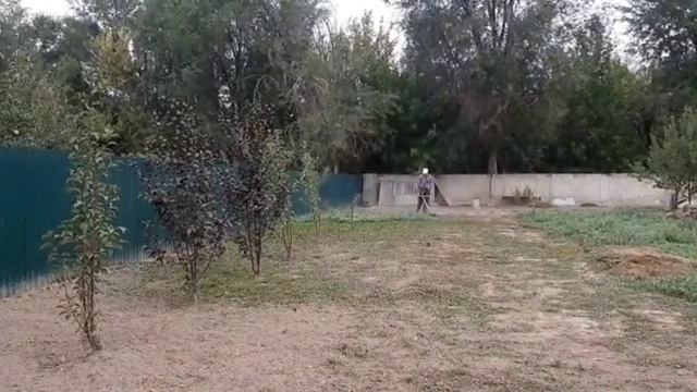 👷♂️🌳🍎 смотреть онлайн