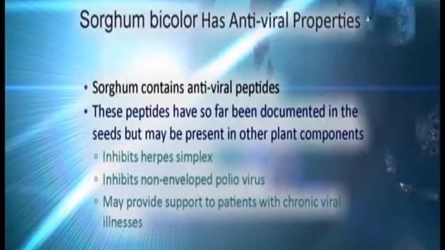 Jobelyn derived from unique West African Sorghum bicolor leaf sheaths.flv смотреть онлайн