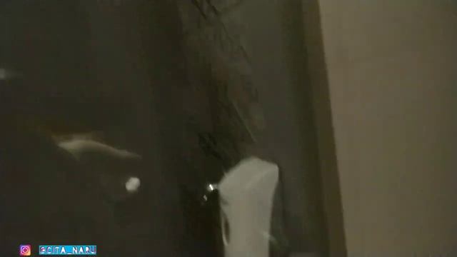 REVIEW HOTEL NUANSA VINTAGE DI KOTA PAHLAWAN SURABAYA \ CITA NARU смотреть онлайн