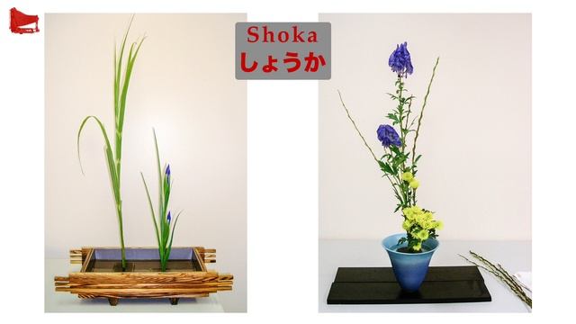 [73] "Dodici Ikebana" - Prima Parte: L'Intervista смотреть онлайн