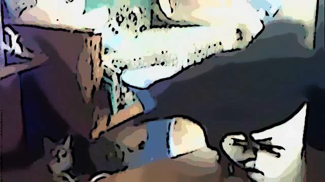 Videoclip filmat cu camera web a utilizatorului lena sandrean pe 5 mai 2012, 00:29 (PDT) смотреть онлайн