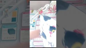 подборка драконов из лайка и тиктока :3