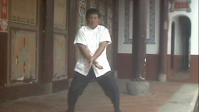 Taiwan SHI-HE-QUAN KUNG-FU audiovisu short subject食鶴拳教學光碟短片(Sifu Liu Han-Hong) смотреть онлайн