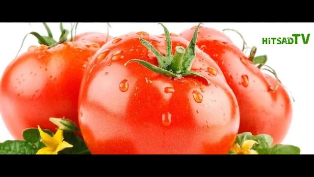 Сад и огород смотреть онлайн