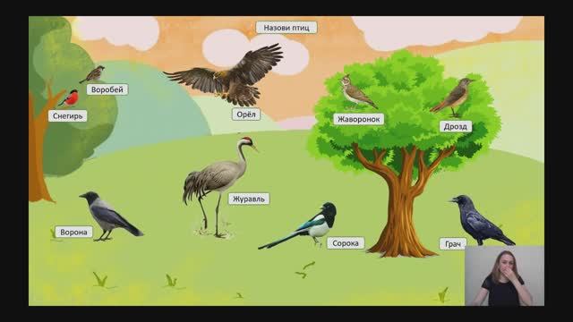 Звук Р "Птицы"