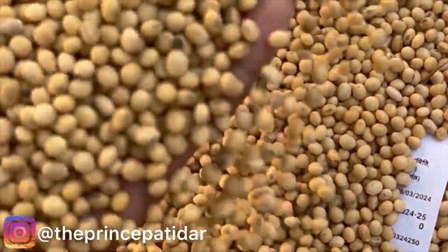Soybean Rate Today Ujjain Mandi | Soybean Ka Bhav | Ujjain Mandi Bhav Today | 6 March 2024 смотреть онлайн