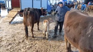 Молбозори Кумсангир. 3 марта 2024 г.