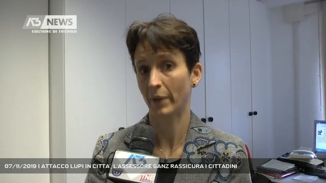 07/11/2019 | ATTACCO LUPI IN CITTA', L'ASSESSORE GANZ RASSICURA I CITTADINI смотреть онлайн