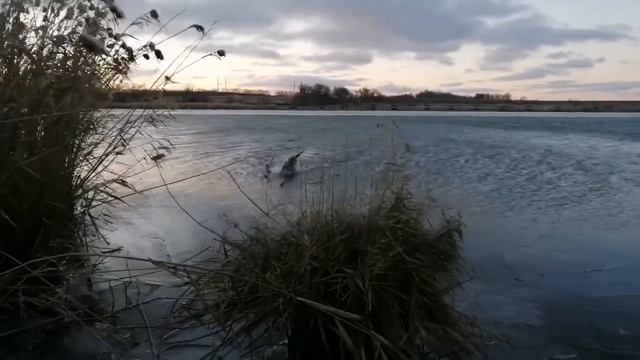 23.11.2019, подача.