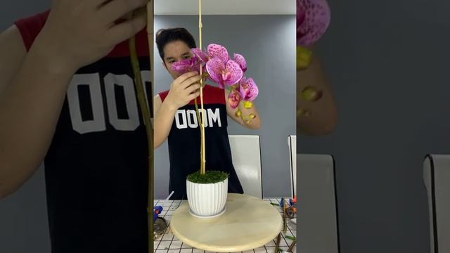 Gubahan Single Stalks 12 set orkid смотреть онлайн