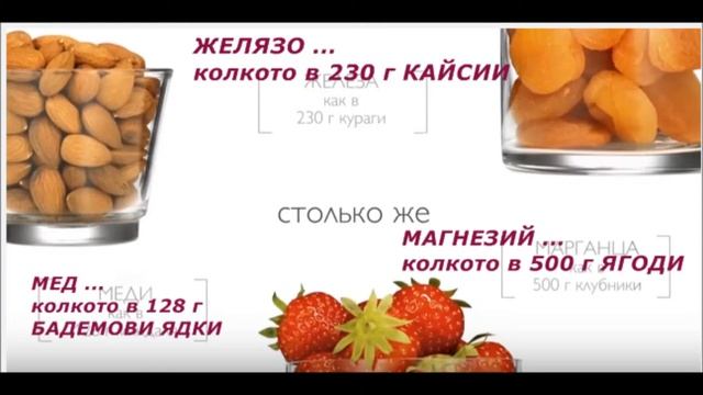 wellness закуска за здраве и тонус през целия ден смотреть онлайн