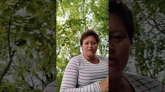 таро в прямом эфире смотреть онлайн