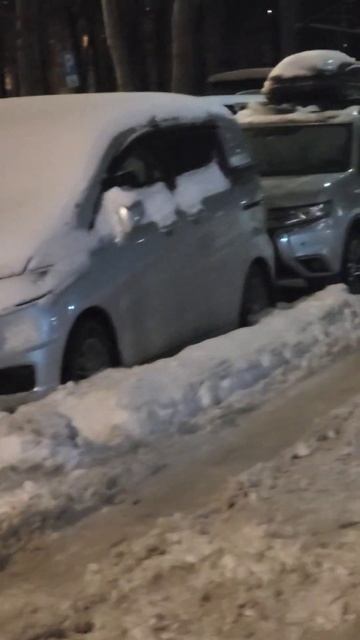 21 февраля 2024 г. подснежники нашего района смотреть онлайн