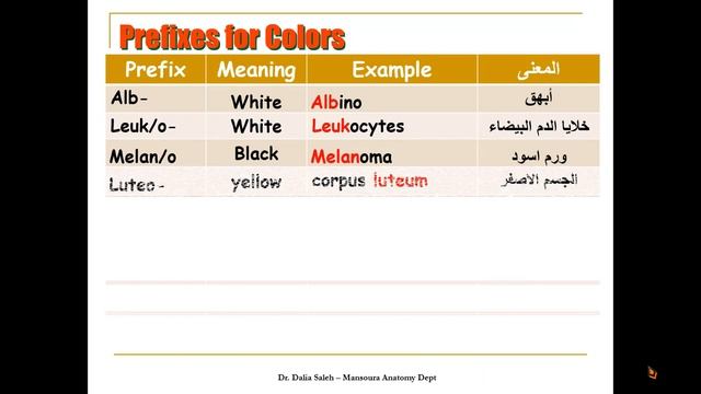 Medical terminology - Prefixes смотреть онлайн