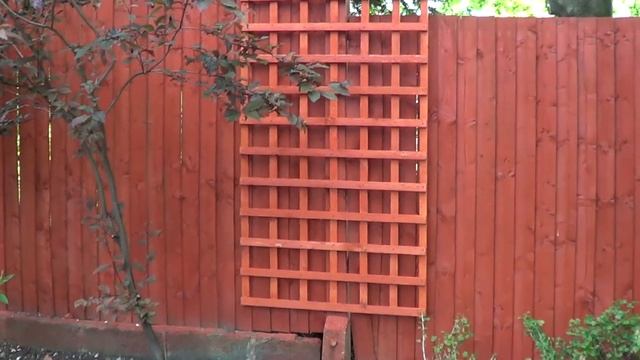 Back Garden May 2015 смотреть онлайн