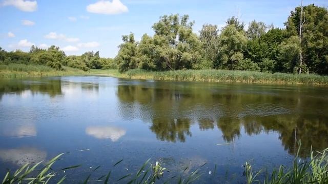 д.Волхонщино, Бондарский район смотреть онлайн