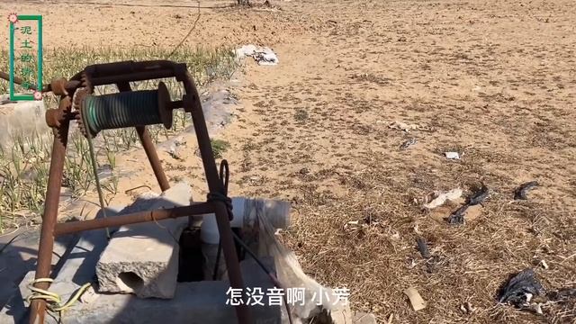 春暖农村好惬意，清香剜一篮嫩白蒿，拌面锅里蒸，鲜香可口真美味 смотреть онлайн