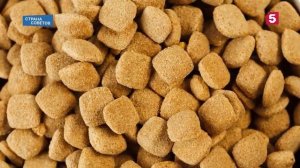 Страна советов. Опасное лакомство, жестокость в детсадах, чай против кофе (выпуск 45)