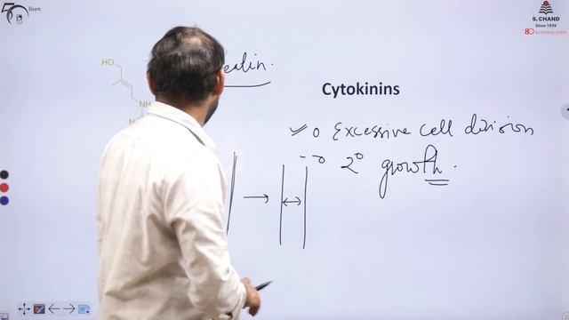 Plant Physiology and Biochemistry - Plant Growth Regulators | S Chand Academy смотреть онлайн