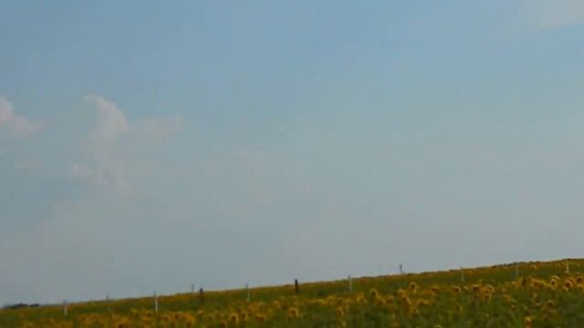 DSCN1494 смотреть онлайн