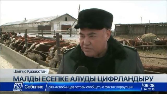 Еліміздегі ірі қара малды электронды чиппен таңбалау ұрлықты азайтады смотреть онлайн