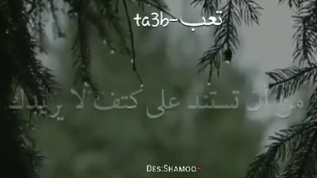 ali kadim смотреть онлайн