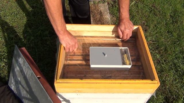 подсадка матки ИО в сентябре новый смотреть онлайн