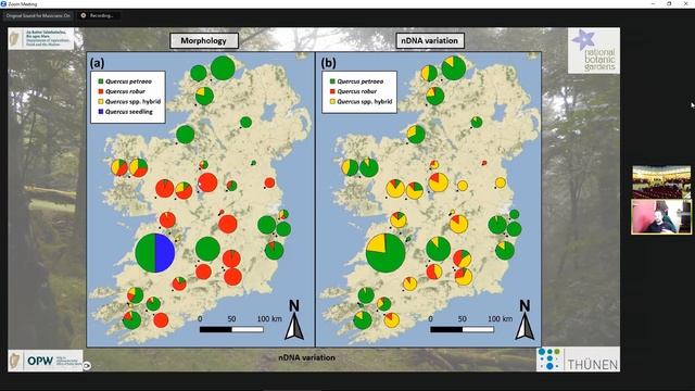 EvolTree Conference 2023 – Belton, Sam: Molecular analysis of the oak syngameon in Ireland – ... смотреть онлайн