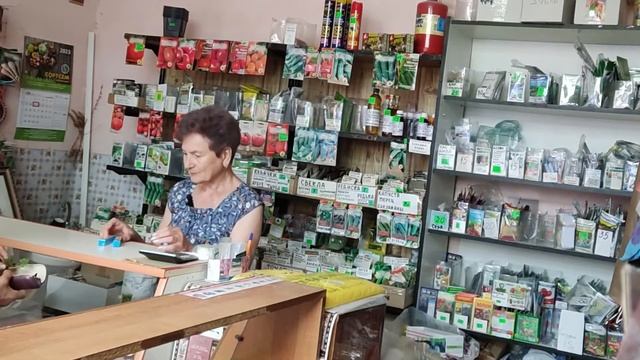 Дырки на листьях капусты, крестоцветная блошка, чем брызгать смотреть онлайн