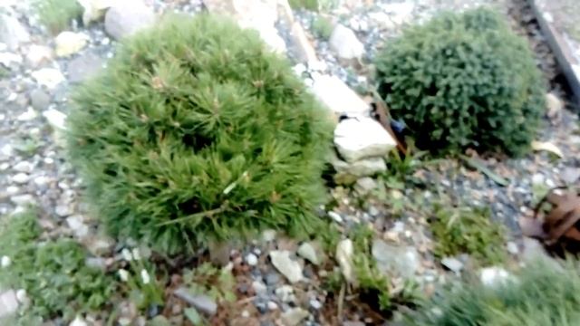 11 мая 2021 г. смотреть онлайн