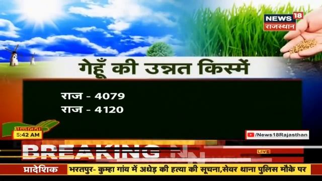 Cultivation Of Potato | आलू की वैज्ञानिक तकनीक से बुवाई | Annadata | News18 Rajasthan смотреть онлайн