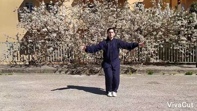 Daoyin Yangsheng Gong Shi er fa смотреть онлайн