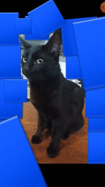 vc e a razão da minha felicidade смотреть онлайн