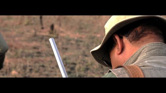 LORD DERBY Hunting Cameroon смотреть онлайн