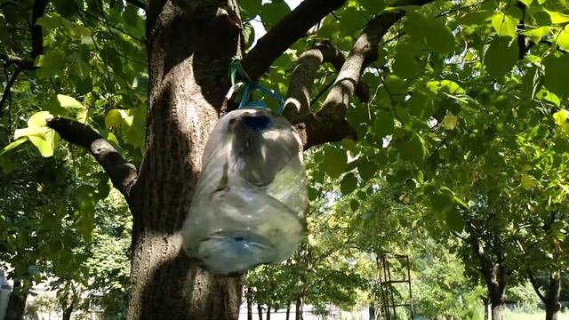 ОБЗОР АМАТОРСКОЙ БОКСЕРСКОЙ ГРУШИ смотреть онлайн