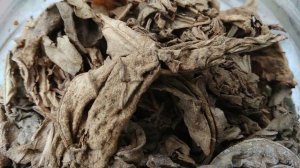 Ферментация махорки