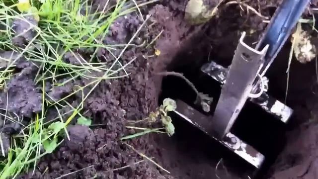 Установка кротоловки (www.triniti-tsc.ru)