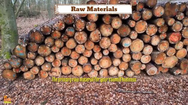 How to Start a Successful Sawmill Business from a Small Scale || Timber Business Plan смотреть онлайн
