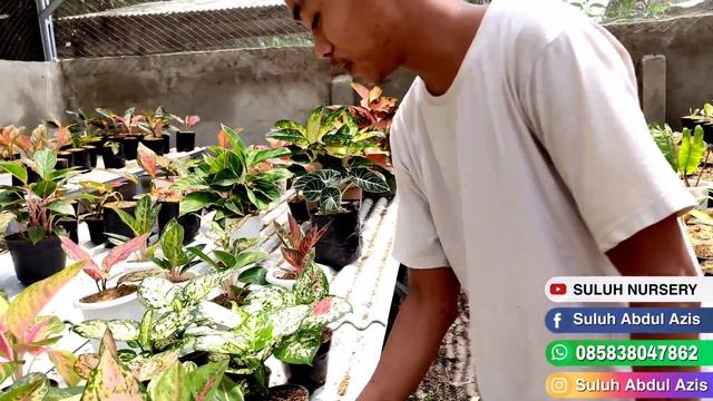 OBRAL SUPER MURAH SUPER MENOR LARIS BANGET SPESIAL HARI RAMADHAN смотреть онлайн