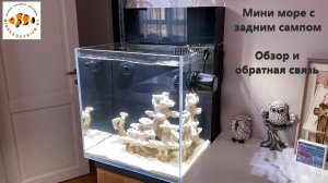 Морской аквариум 35 литров. Ширма для сампа. Утолщенное дно.