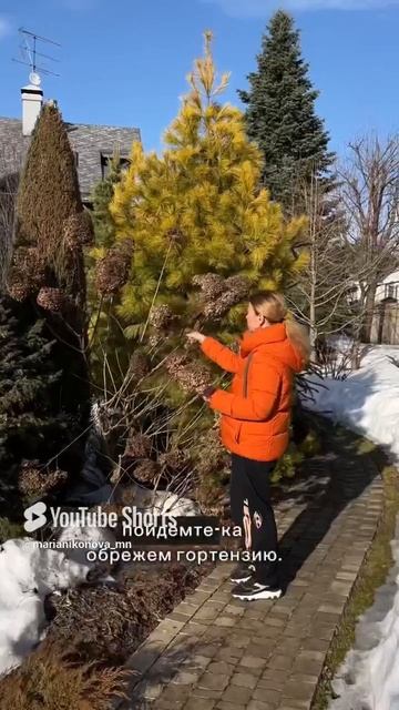 Сад после зимы. смотреть онлайн