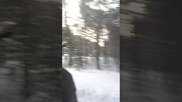 Лежать или работать. смотреть онлайн