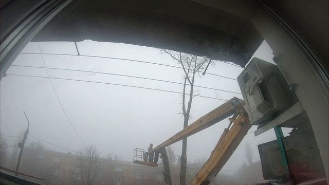 Спиливание тополя за 60 секунд. Вот и всё... смотреть онлайн