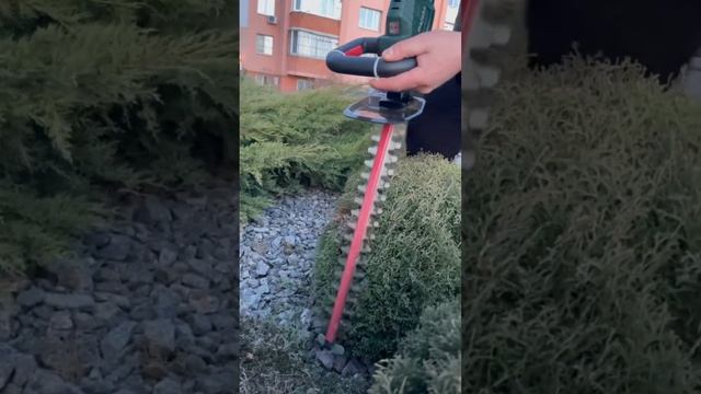 Хвалюсь новим гаджетом для підстригання кущів. смотреть онлайн