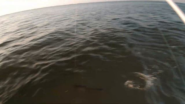 Wow , I switched to this lure and caught fish! смотреть онлайн